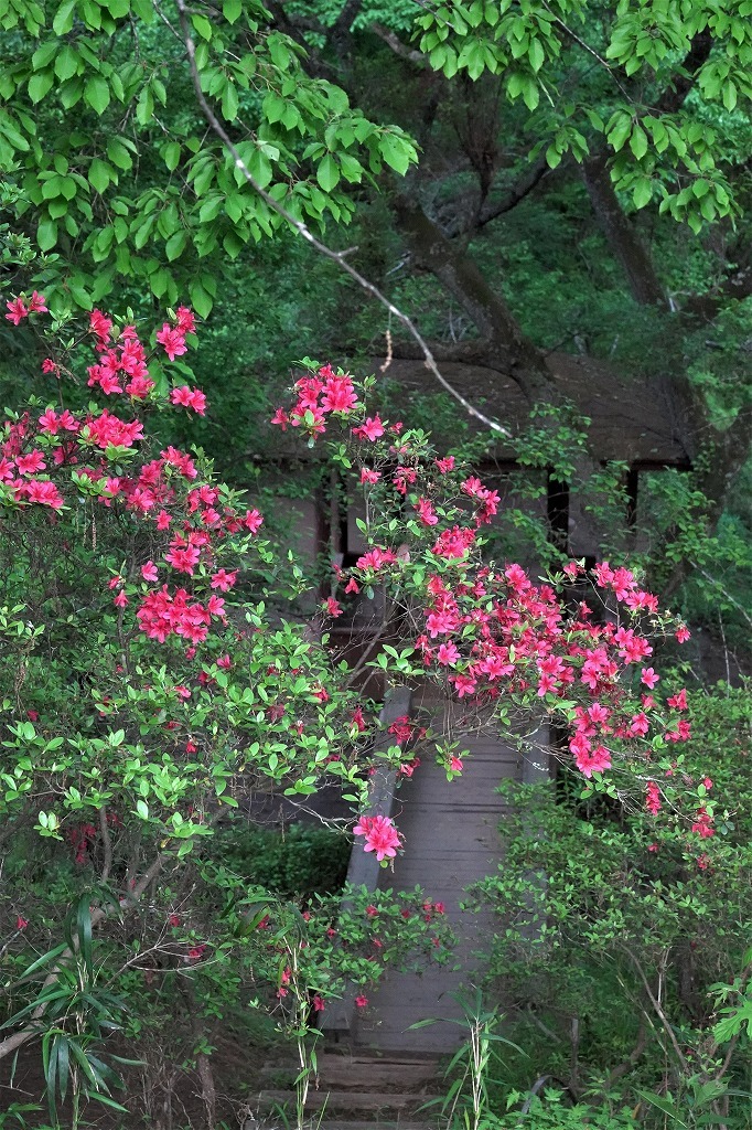 b0236251_11240046.jpg