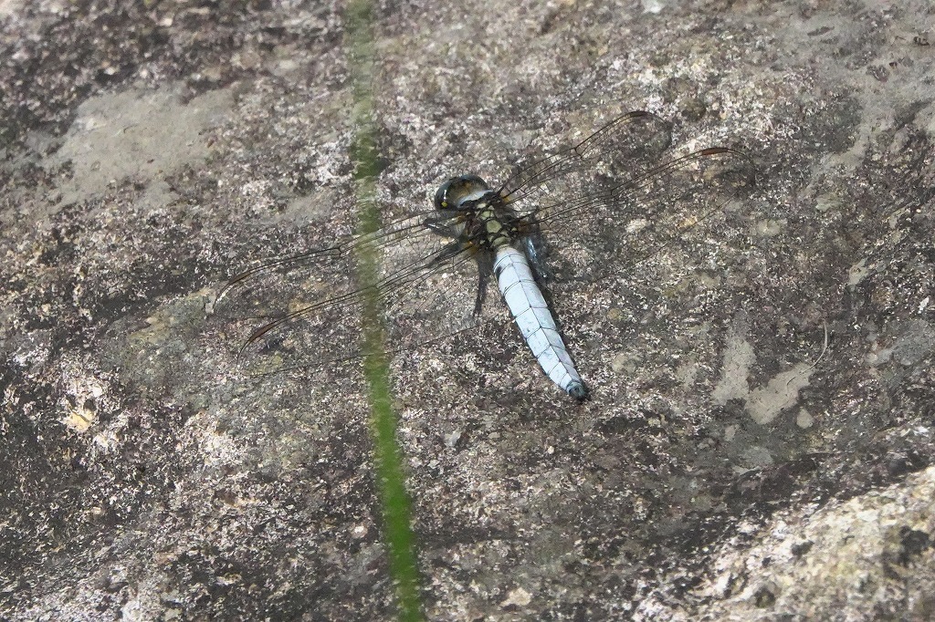 b0236251_11321211.jpg