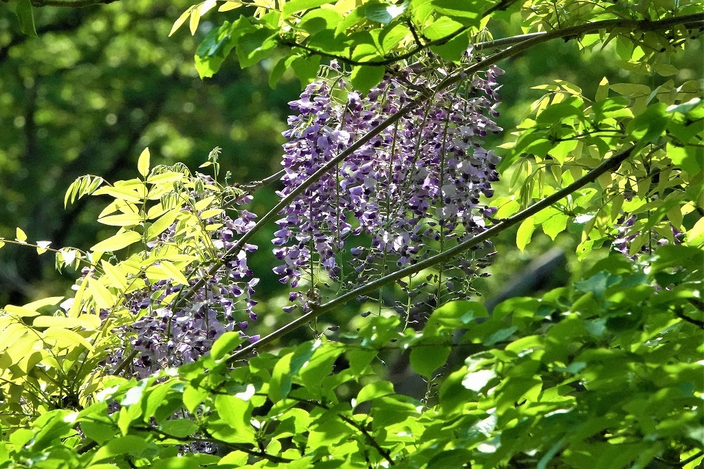 b0236251_11343354.jpg