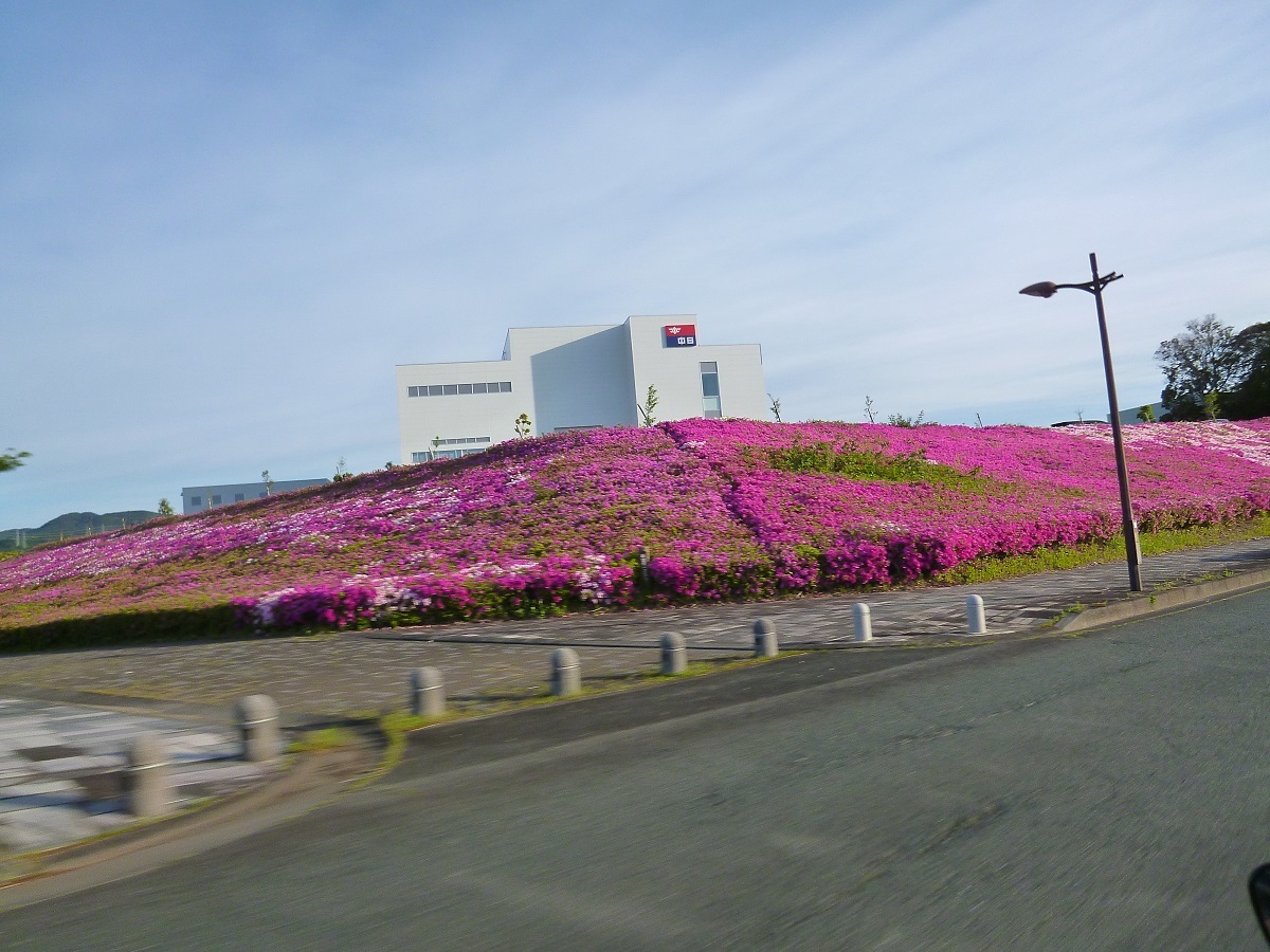 勝沼の葡萄_c0294553_18523378.jpg