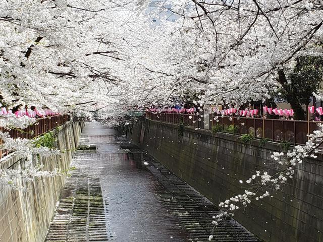f0201054_20580372.jpg