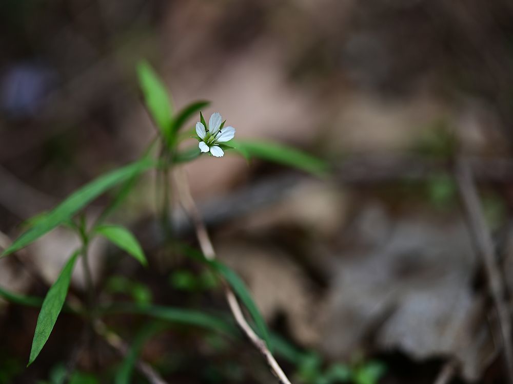 b0370155_19090516.jpg