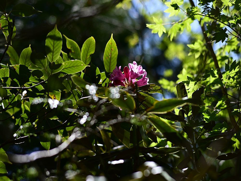 b0370155_19093096.jpg