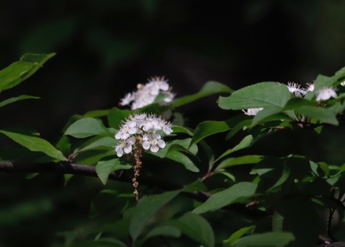 a0248459_14155349.jpg