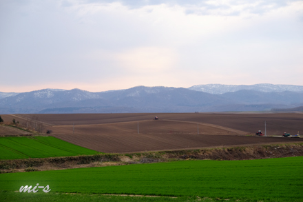 d0340565_19344323.jpg