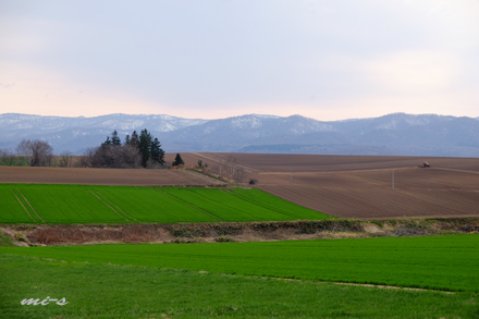 d0340565_19344851.jpg
