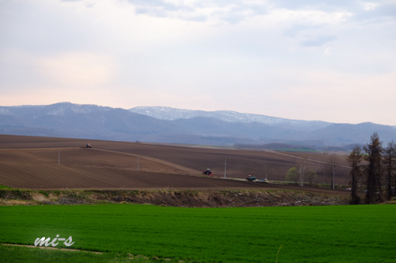 d0340565_19345548.jpg