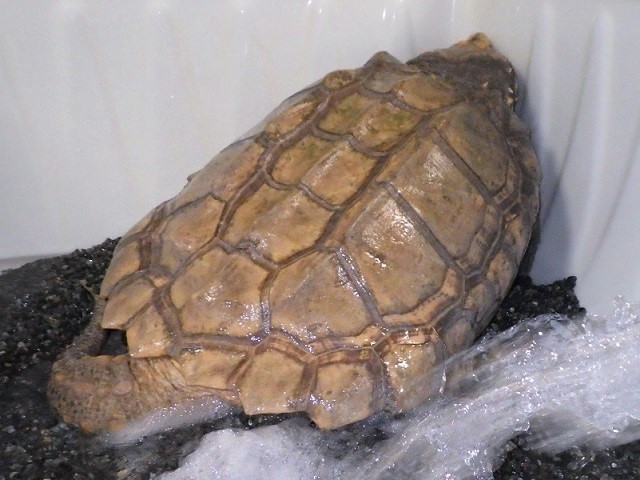 c0105569_01154564.jpg