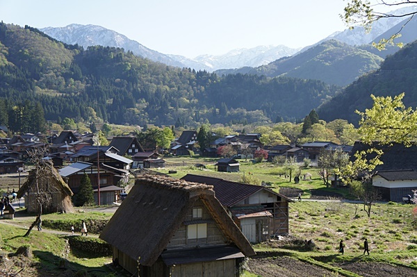 e0177271_19011601.jpg