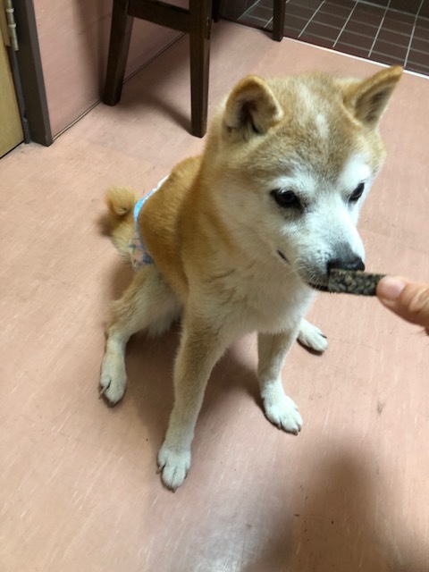 良太郎くんのお泊り(2019・5・5)_e0367571_19235282.jpg