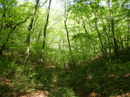 d0182075_19542180.jpg