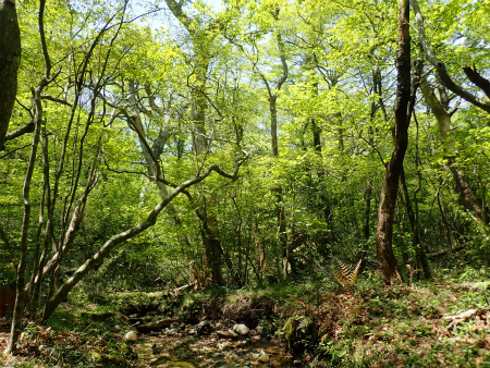 d0182075_20500237.jpg