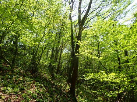 d0182075_20501319.jpg