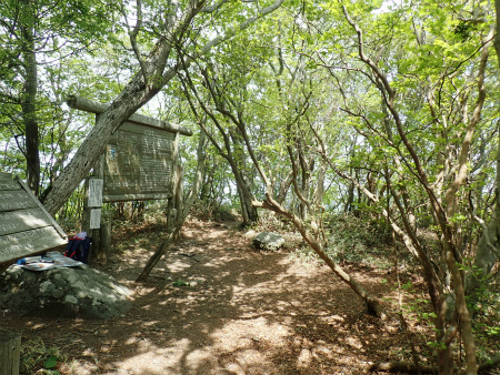 d0182075_20503340.jpg