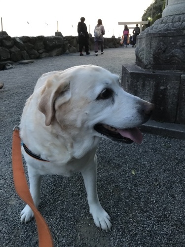 f0315081_22345282.jpeg