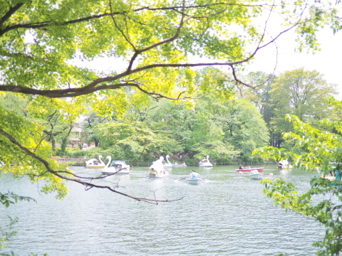 a0198883_19091159.jpg