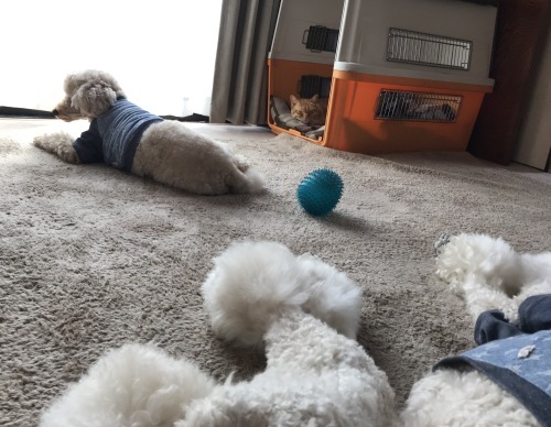 a0216583_23314258.jpeg