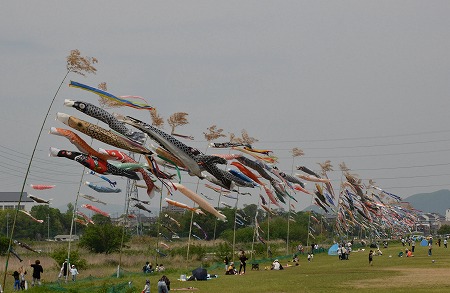 c0229483_2323840.jpg