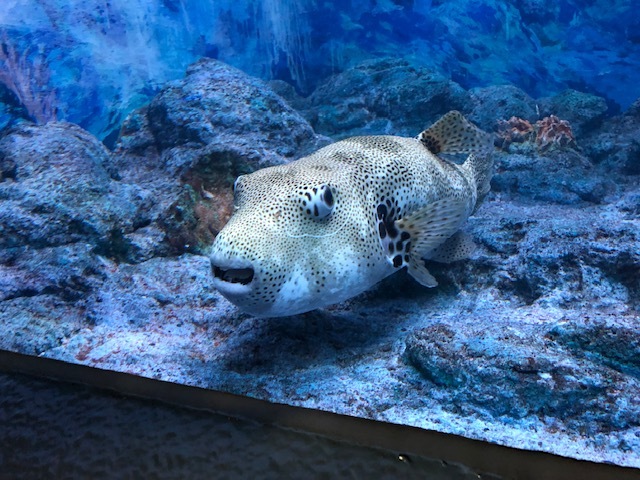 e0094589_04265817.jpg