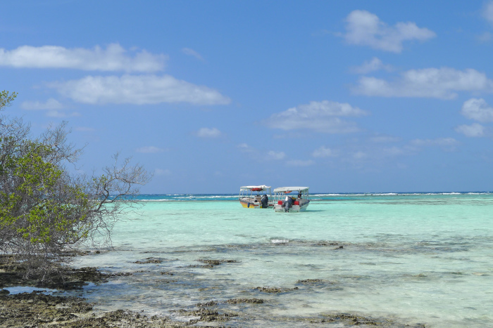 c0147790_01101456.jpg