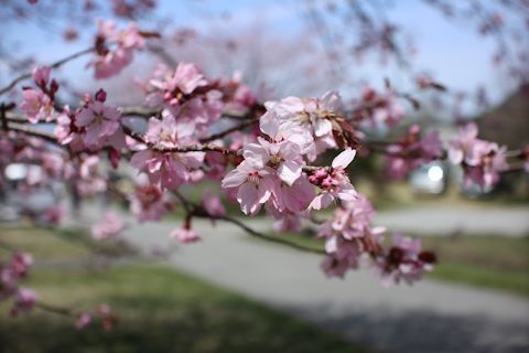 c0090198_18563593.jpg