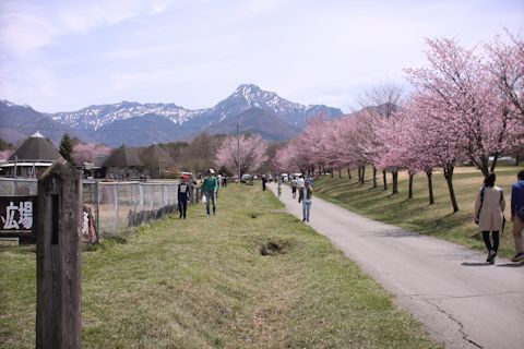 c0090198_19073722.jpg