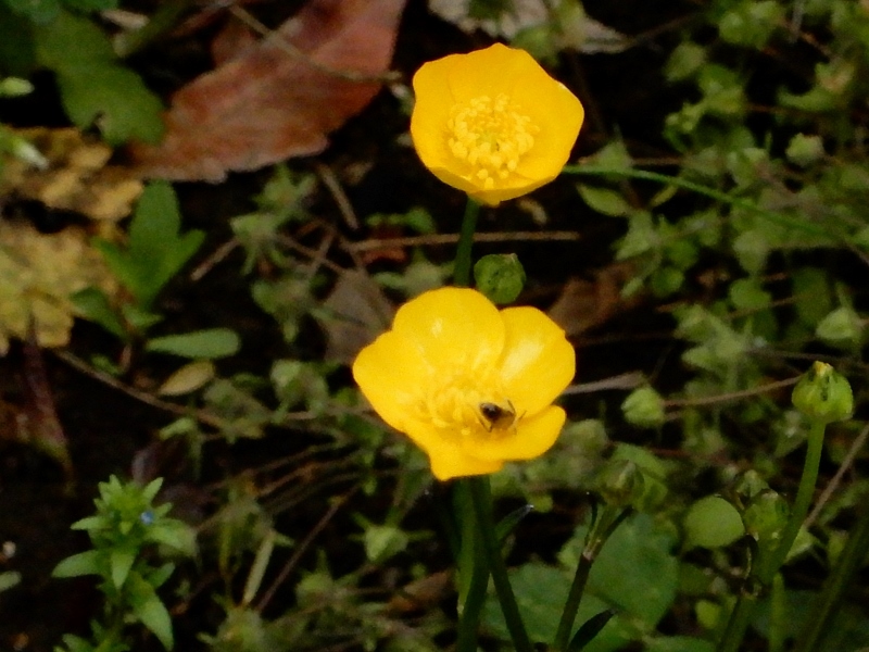 e0025300_2125275.jpg