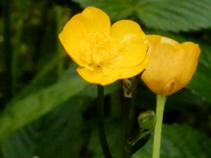 e0025300_2134122.jpg