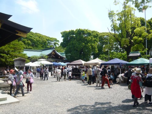 桜が地下茎で増殖　根から増える？_c0024502_1555779.jpg