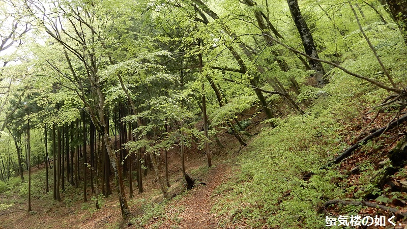 コミック「ヤマノススメ」舞台探訪016  高水三山の岩茸石山へゆるふわ登山(百十七合目)_e0304702_17384620.jpg