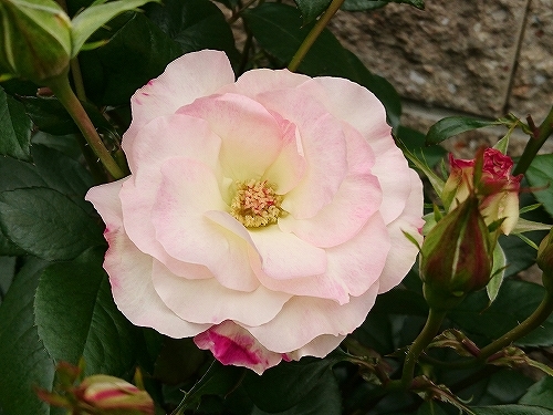 e0289203_15391196.jpg