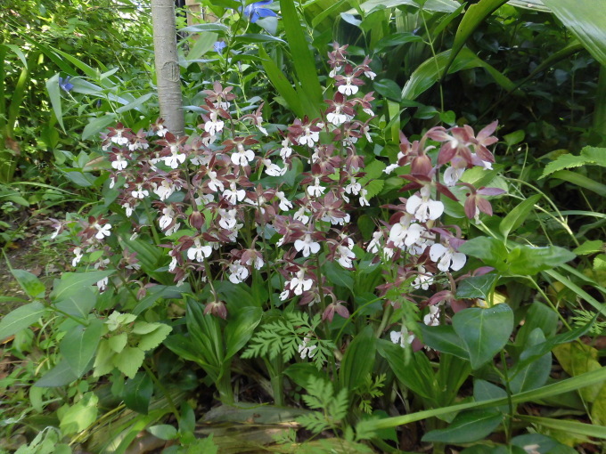 c0156104_22254231.jpg