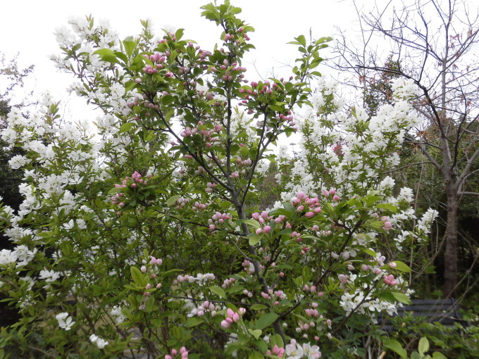 c0156104_22360409.jpg