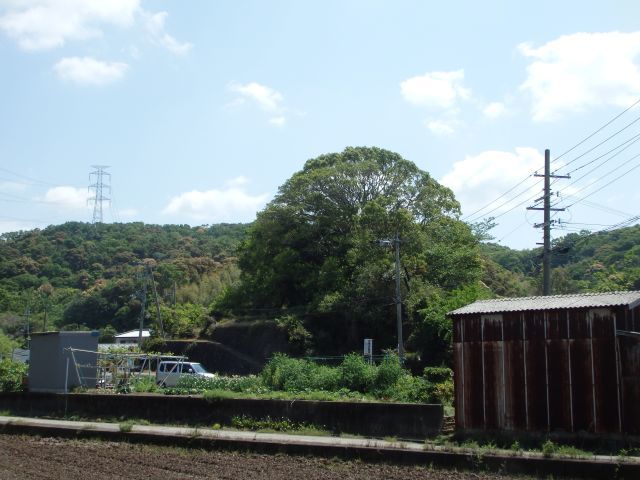 d0360104_20502737.jpg