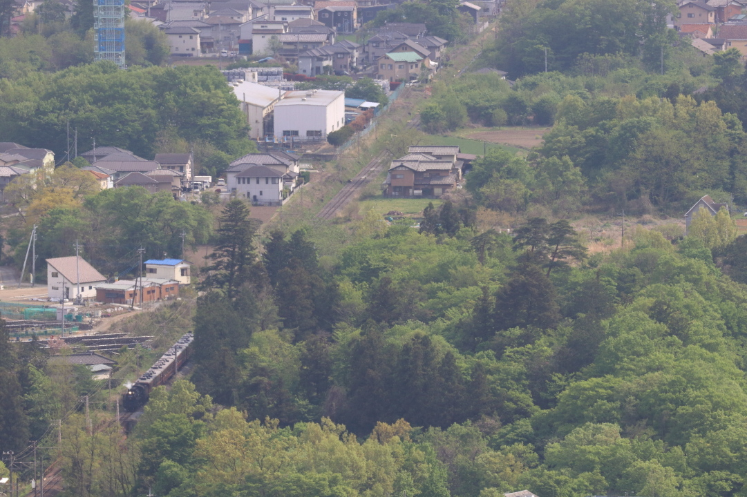 新緑いっぱいの新ポイント - 2019年春・秩父鉄道 -_b0190710_17154836.jpg