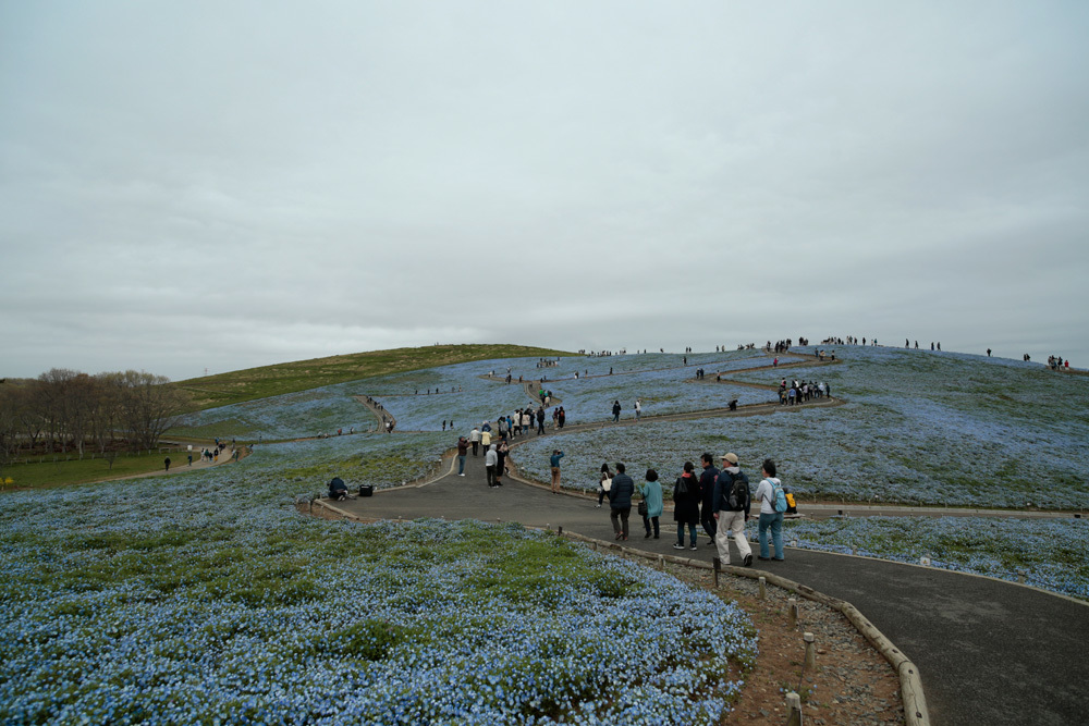 d0011713_16360920.jpg