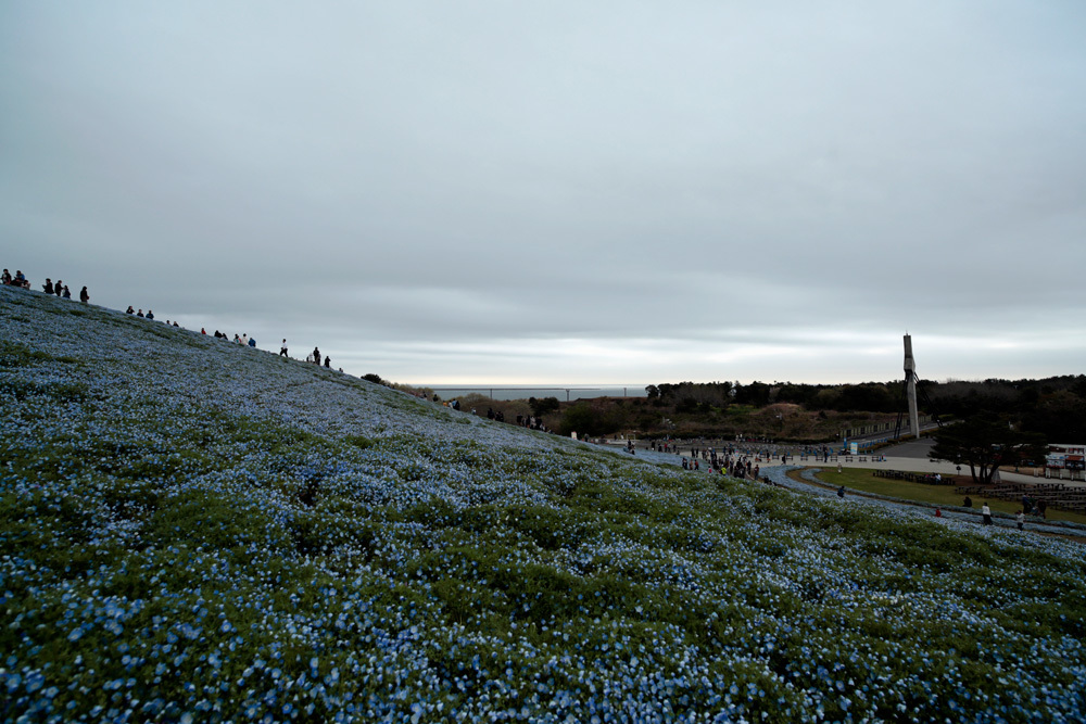 d0011713_16362243.jpg