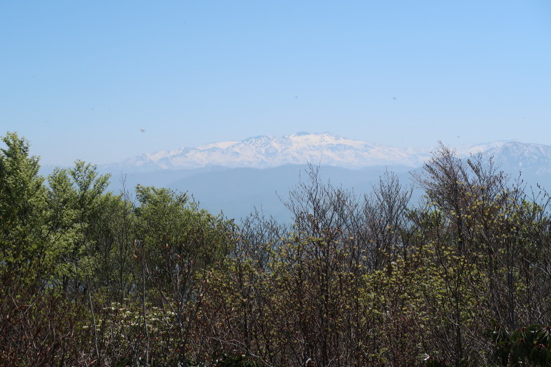 d0103314_17350096.jpg