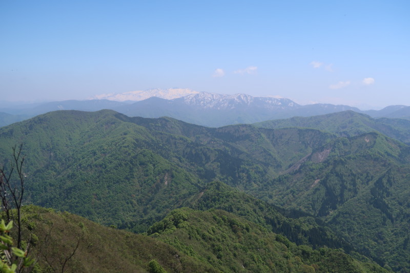 d0103314_17353992.jpg