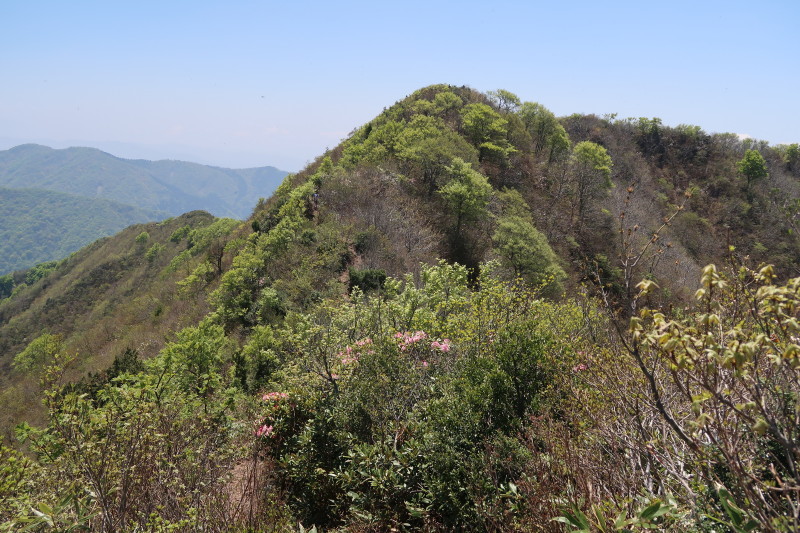 d0103314_17361468.jpg