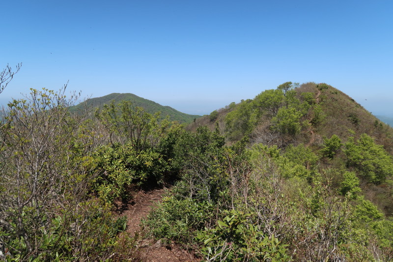 d0103314_17362527.jpg