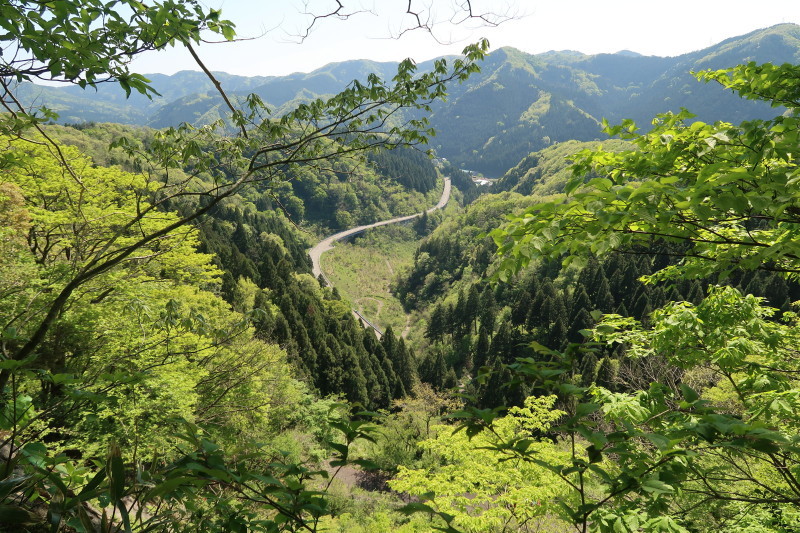 d0103314_17384696.jpg