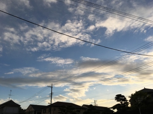 f0369014_08202083.jpg