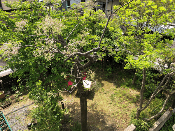 b0268815_16323968.gif