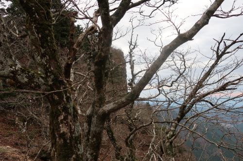 e0171018_21553039.jpg