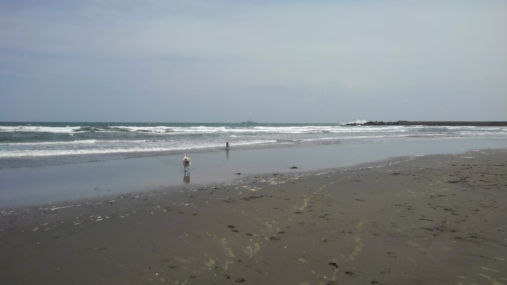 b0339522_14303670.jpg