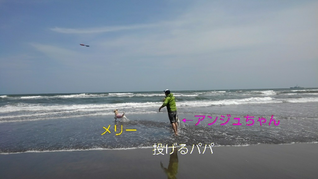 b0339522_14531798.jpg