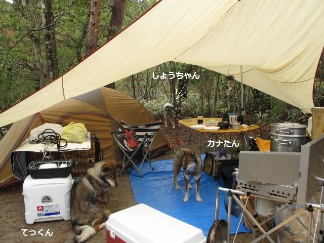 f0143123_19384128.jpg