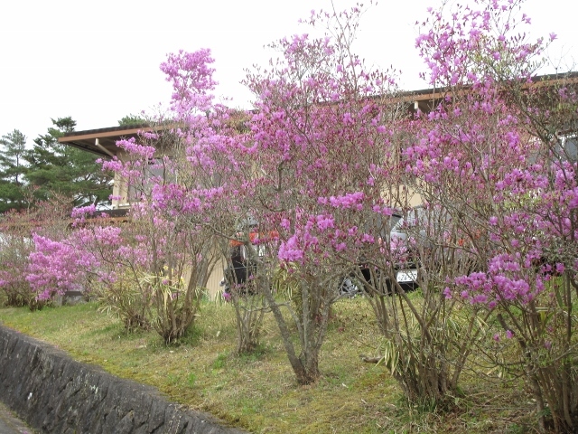 f0143123_19385814.jpg