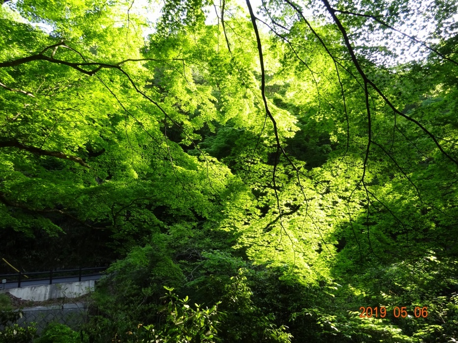 d0181824_11531589.jpg